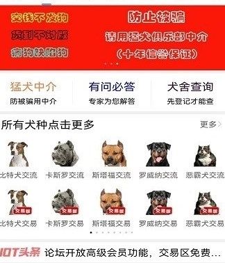 猛犬俱乐部app1