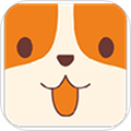 云小宠app