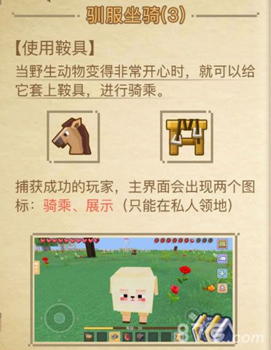 奶块魅族版坐骑介绍3