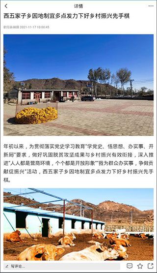 怎么阅读文章配图4