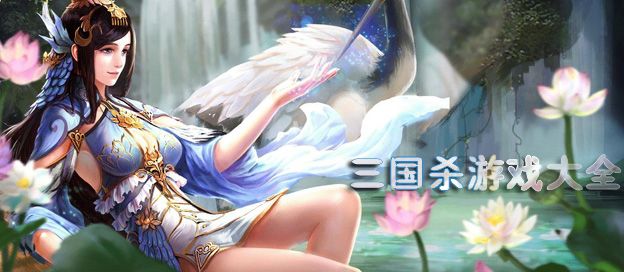 三国杀游戏
