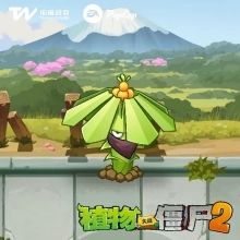 植物介绍配图6