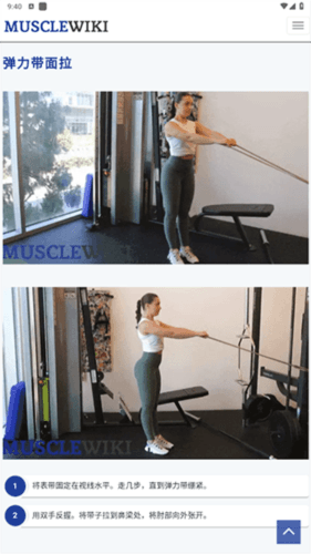 musclewiki官方版图片13