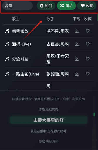 如何下载不同格式音乐配图4