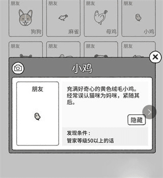 猫咪真的很可爱隐藏动物怎么找出来4