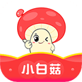 小白菇app