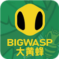 大黄蜂影仓TV盒子官方最新版本
