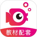 鲤鱼辅导app