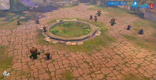 (霸哥围场“围猎”霸哥)