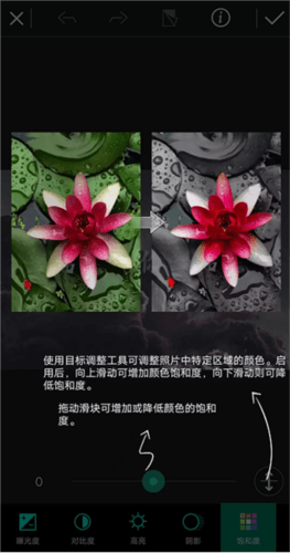相片大师最新破解版图片7