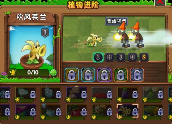 新植物介绍配图6