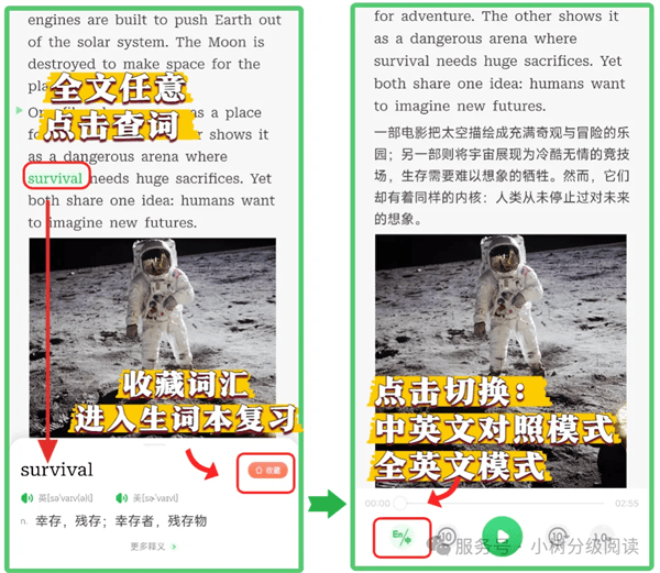基础学习流程配图5
