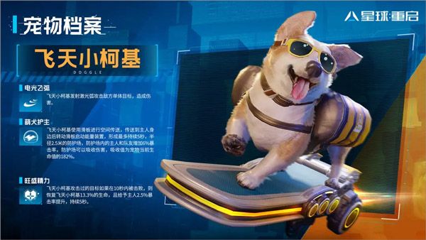 宠物介绍配图4