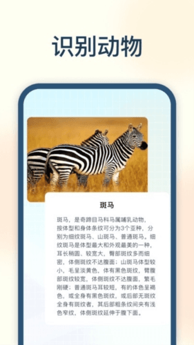 试卷星app宣传图