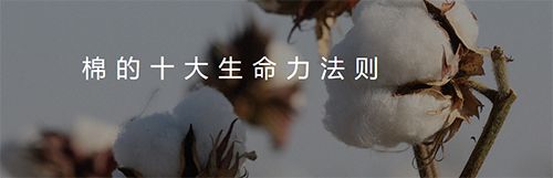 全棉时代app软件截图1
