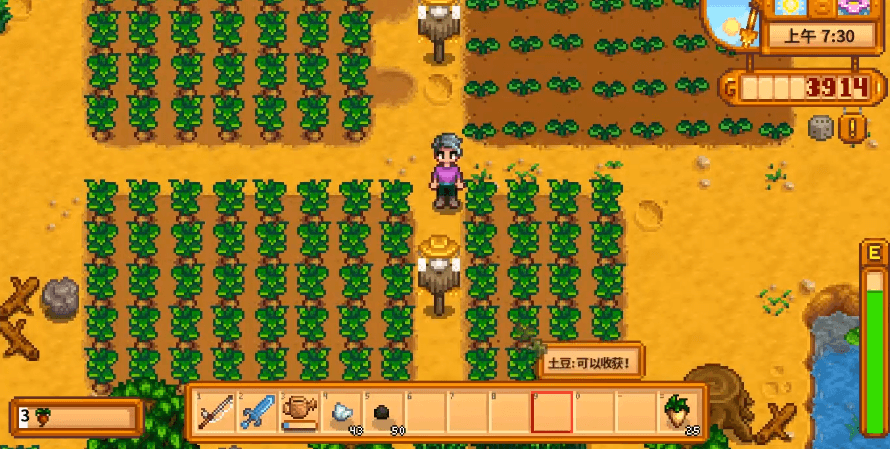 星露谷物语种植什么最好 星露谷物语种植什么最好
