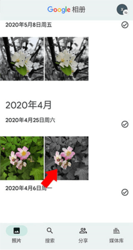 google相册隐藏图片教程 谷歌相册10