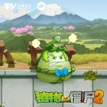 植物介绍配图3
