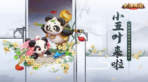 小五叶来啦!