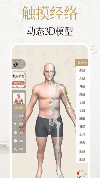 经络穴位3D2