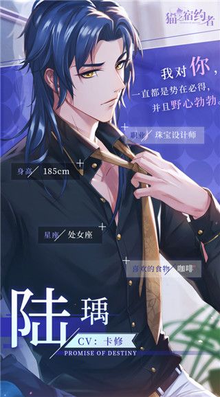 流光印象CV男主介绍配图1