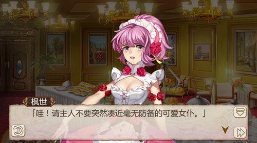 姬魔恋战纪3