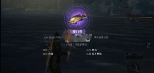 黎明觉醒生机体验服