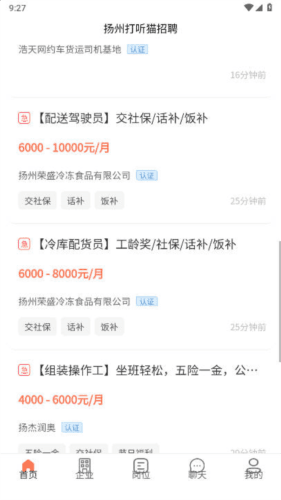打听猫招聘图片4