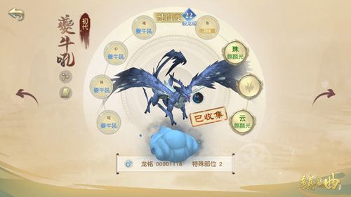 每条神龙都有唯一的“龙铭”