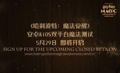哈利波特:魔法觉醒8