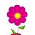 经期跟踪器精简版下载_经期跟踪器精简版app下载 v12.10.4最新版