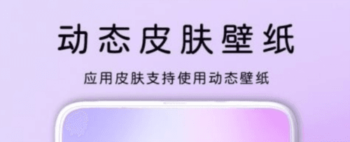 灵动主题皮肤app2