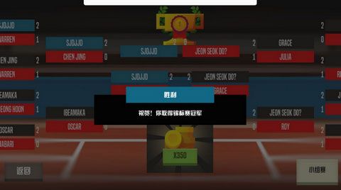 羽毛球高手游戏攻略3