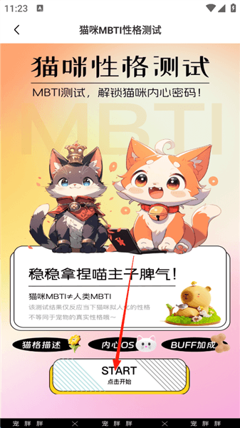 如何进行猫咪MBTI性格测试配图4