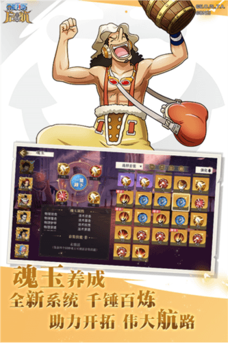 航海王启航oppo版宣传图