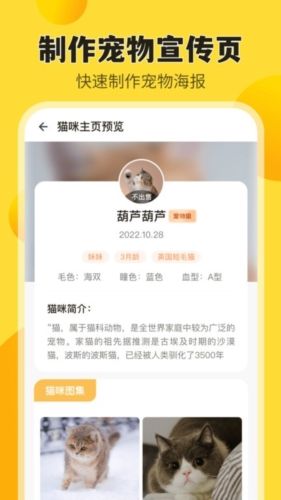 猫老板app图片2