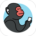 魂旅app官方下载_魂旅安卓版下载 v1.0.6最新版