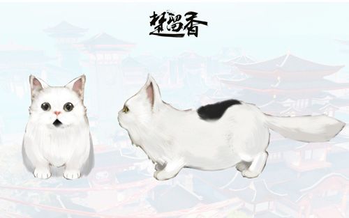 楚留香4