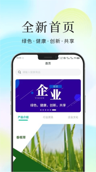 香根草图片