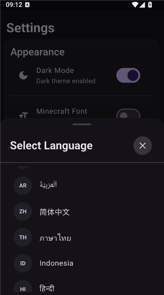 如何设置中文配图3