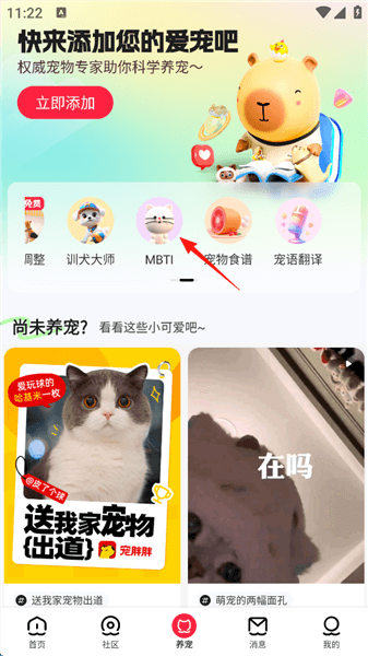 如何进行猫咪MBTI性格测试配图3