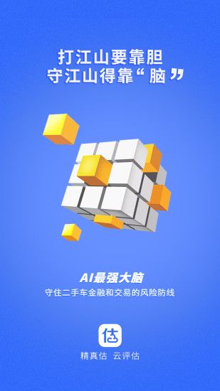 精真估1