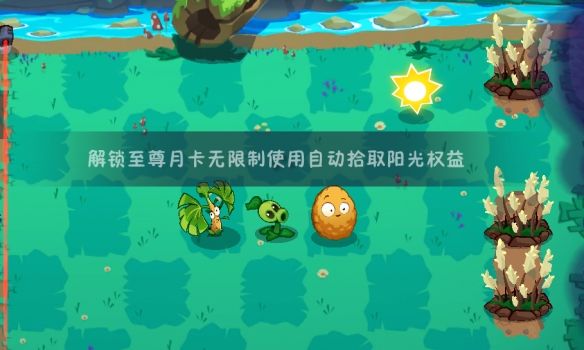 植物大战僵尸317