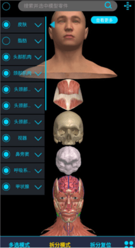 医维度3d人体解剖使用教程3