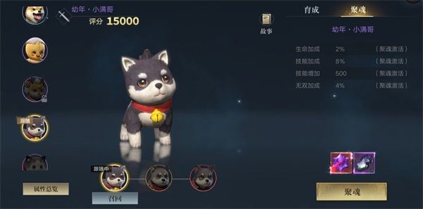 宠物攻略配图4