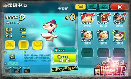 猫狗同心其利断金 阿喵阿汪宠物搭配大起底4