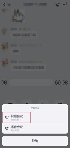 可以分享屏幕吗配图2