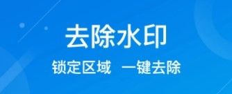 水印消除大师app1