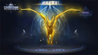 奇迹MU:觉醒5
