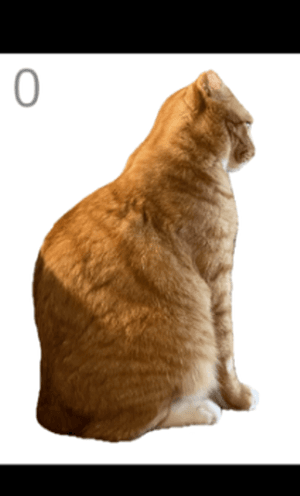 给猫梳毛游戏攻略配图1
